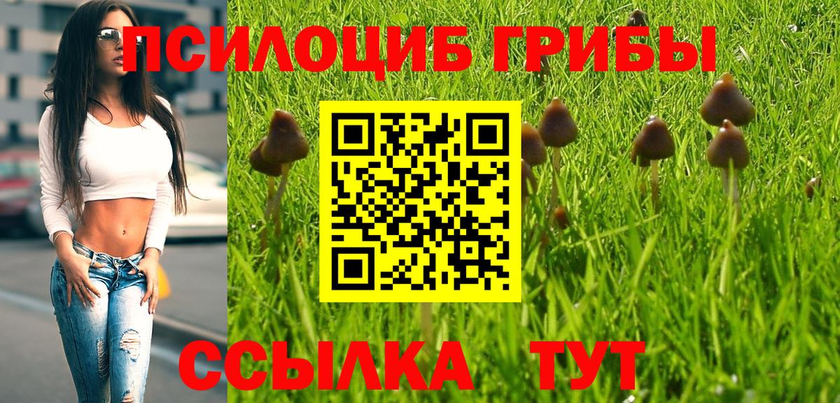 Галлюциногенные грибы MAGIC MUSHROOMS Буйнакск